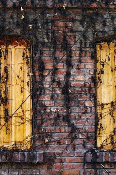 獨(dú)家內(nèi)幕2