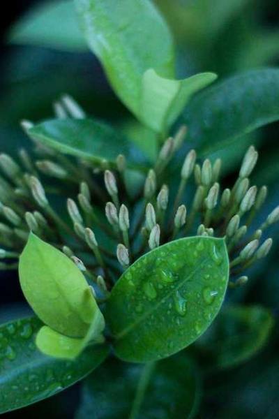 電視劇與社會(huì)文化的互動(dòng)關(guān)系